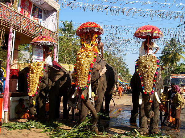 Circuit touristique au Kerala : voyage, inde, circuit, kerala, culture, circuit au kerala