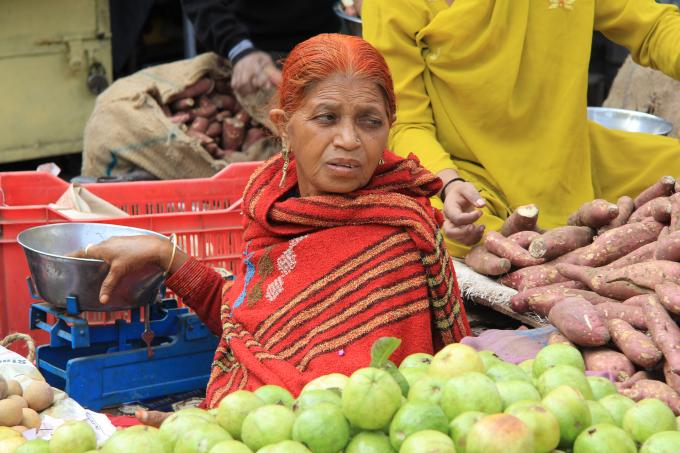 L'Inde : destination inde, inde, voyage en inde, spécialiste du voyage inde, budget voyage, circuits inde, séjour au rajasthan 