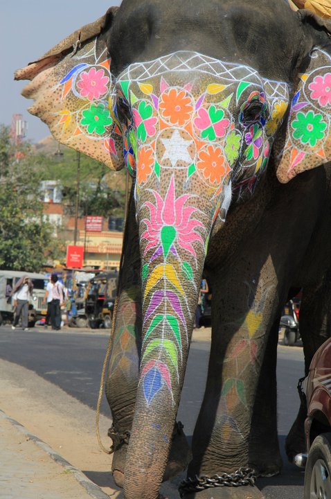 L'Inde : destination inde, inde, voyage en inde, spécialiste du voyage inde, budget voyage, circuits inde, séjour au rajasthan 